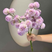 Nieuwe Aankomst Meerdere Kleuren 10 Hoofden Honingraat Fruit Zijde Kunstmatige Bal Chrysanthemum Voor Bruiloft Decoratie