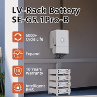Batteries solaires Deye 40v 51.2v 10kwh 15kwh 20kwh Batteries au lithium de charge et de décharge