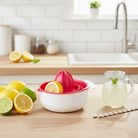 Presse-agrumes manuel en aluminium écologique, outils réglables en plastique PP pour fruits et légumes, sûrs pour un usage domestique, prêts à être expédiés