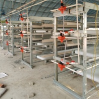 Cage de batterie pour l'élevage de volailles, pigeons et cailles avec système d'abreuvement automatique