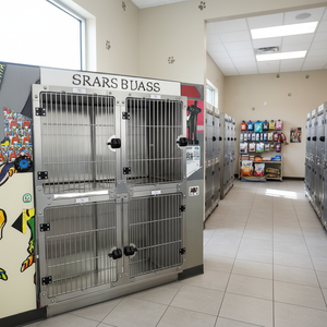 Usine professionnelle grand chenil pour chien en acier inoxydable pour Petsproofing chiot Cage bol carré modulaire vétérinaire Cages <span class=keywords><strong>coin</strong></span> animaux de compagnie - Product Image 3