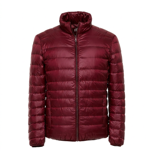 Chaqueta Acolchada Personalizada para Hombre, Cuello Alto, Cierre de Cremallera, Color Sólido, Resistente al Viento, Poliéster Grueso, Invierno, Casual, Corte Ajustado, Logotipo Frontal - Product Image 1