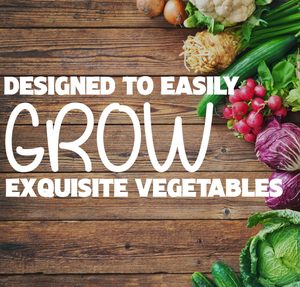 Kit <span class=keywords><strong>per</strong></span> la coltivazione di verdure-5 verdure speciali da coltivare-<span class=keywords><strong>tutto</strong></span> ciò di cui hai bisogno <span class=keywords><strong>per</strong></span> iniziare a crescere in una scatola! Kit da giardinaggio - Product Image 5