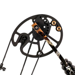 Arc à poulies M120 tir à l'arc chasse arc et flèche en métal <span class=keywords><strong>Bloodsport</strong></span> tir à l'arc arc à poulies pour la chasse équipement de Sport en plein air - Product Image 2