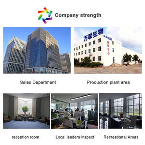 Oem/odm รองรับแท็บเล็ตแอลคาร์นิทีนก่อนออกกำลังกายสำหรับผู้ใหญ่ที่มีสารกระตุ้นพลังงานและประโยชน์ในการลดน้ำหนักสำหรับผู้ชายและผู้หญิง - Product Image 6