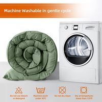 Parures de couette bio personnalisées avec inserts de couette, style simple, couleurs douces pour hôtels et maisons, fabriquées en polyester