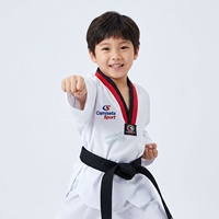 Seragam Taekwondo Seragam Latihan Seni Bela Diri Dewasa Anak-anak Dobok Pakaian Latihan Kompetisi Logo Kustom Pemasok Grosir