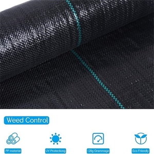 Tissu de paillis en plastique anti-UV pour lit de fleurs, allée, jardin et serre. - Product Image 4