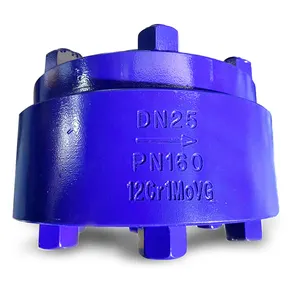 DN25 Pn160 High Pressure Ductile Iron Wcb Body Trap Valve for Stem