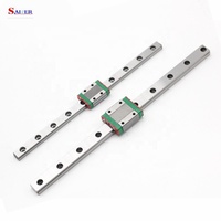 Carro deslizante de riel de guía lineal en miniatura de alta calidad, 100mm de longitud, MGN7H, MGN9H, MGN12H, MGN15H, núcleo de rodamiento para impresora 3D