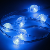 Luces LED 3D de matriz de píxeles Shiji Lighting, bola de 25 mm, DMX SPI RGB a todo color, luces programables para cortinas de parques temáticos