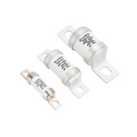 Fusible Lanson Nouvelle Énergie BS88-690 Fusible à Haute Vitesse 690V/500V Haute Tension 10A-400A OEM/ODM 50kA/20kA pour l'automobile
