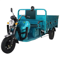 Tricycle électrique motorisé robuste à 3 roues, certifié CEE, 60V 1000W, avec carrosserie ouverte personnalisable, vente en gros de Chine à prix abordable