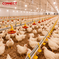 Système de contrôle environnemental durable pour ligne d'abreuvement automatique des poulets de chair destiné aux projets d'élevage avicole intensif