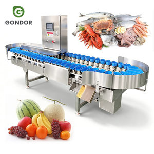 Máquina Clasificadora y Calibradora de Papaya, Apollo, Tomate, Pescado y Mangostán, de Gran Calidad, con Sistema de Cinta Transportadora para Clasificación de Productos Vivos - Product Image 1