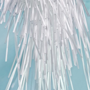 ボスブランド医療用TPU使い捨て特殊形状カテーテル、外科医療用、3年保証付き、特価販売中 - Product Image 4