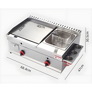 Friteuses et Plaques de Cuisson Professionnelles en Acier Inoxydable à Gaz pour Restaurants, Poulet Frit, Hamburgers, Steaks, et Stands de Restauration Ambulante - Product Image 2