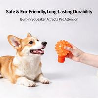 Jouet de tirage pour chien en forme d'ampoule unique, jouet interactif pour chiot, personnalisation prise en charge