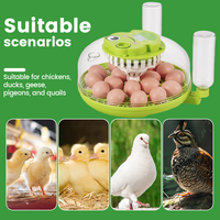 Incubateurs à œufs de volaille entièrement automatiques, machine d'éclosion électrique, incubateur à œufs de poulet à vendre
