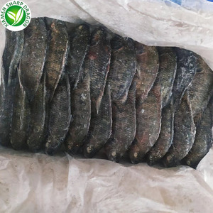 SD nhà sản xuất thức ăn đông lạnh cá rô phi iqf cá rô phi 200 - 300 g - Product Image 4