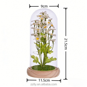 Lampe de nuit décorative LED en forme de dôme avec fausse marguerite, cadeau pour la Saint-Valentin, anniversaire, mariage, vente en gros - Product Image 3