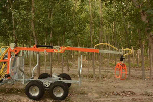 Remorque forestière à moteur à essence Wontide homologuée CE, <span class=keywords><strong>quad</strong></span>, pour le transport de bois, avec grue pour tracteur, remorque à bois de 4,5 m - Product Image 6