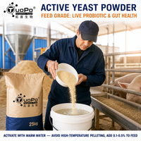 Poudre de levure active avec ≥80 % de cellules vivantes, microbes bénéfiques pour la colonisation intestinale animale et le soutien de la santé