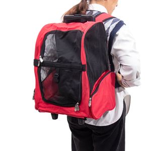 Bolsa de Transporte para Mascotas de Alta Calidad, Resistente a Arañazos, Suave, Transpirable y Duradera, con Asa - Product Image 3