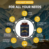 Vente en gros de suppléments gommeux Shilajit à base de plantes sans sucre Support OEM ODM sans OGM