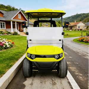Golf Cart Personalizzato a 2 Posti per Country Club, Aeroporti e Turismo - Buggy da Golf a 2 Posti con Batteria al Litio, Senza Manutenzione, Lunga Autonomia - Product Image 1