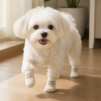 Chaussettes pour chien en coton mélangé à double face antidérapantes avec broderie d'ours et motif de patte, durables pour petits chiens