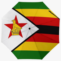 Parapluie entièrement automatique de haute qualité à ouverture et fermeture automatiques, imprimé avec les drapeaux nationaux de la Zambie, de la Tunisie, du Bangladesh, de l'Azerbaïdjan et de l'Arménie