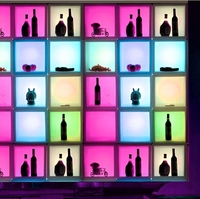 Lampada Solare a LED da Giardino Creativa, Vaso Luminoso in Plastica, Alimentazione DC, Impermeabile IP65 per Paesaggi, Parchi, Giardini, Supermercati