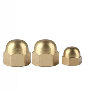 <span class=keywords><strong>Écrou</strong></span>s hexagonaux en laiton M3 M4 M5 M6 M8 M10 M12 M14 M16 M18 M20, <span class=keywords><strong>écrou</strong></span>s décoratifs à tête bombée, <span class=keywords><strong>écrou</strong></span>s semi-circulaires, <span class=keywords><strong>écrou</strong></span>s en forme de gland 1/4-20 - Product Image 5