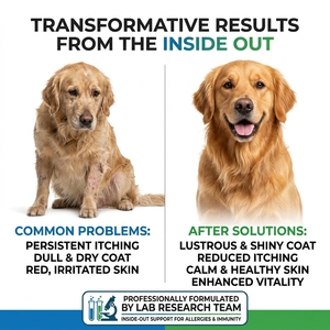 Aceite para la Piel con Vitamina E para Protección Antioxidante en Perros de Todas las Edades GMP ISO COA - Product Image 2