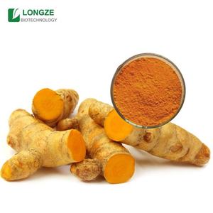 مستخلص مسحوق كركما لونجا رهيزوم مستخلص مسحوق البكتمين الكركمين - Product Image 2