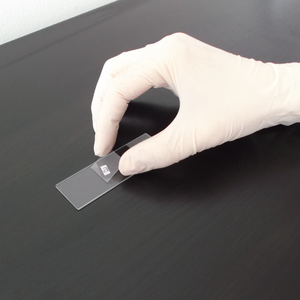 Phòng thí nghiệm chất lượng cao cung cấp 7105 kính hiển vi Kính trượt cạnh Đánh Bóng Mờ Một đầu ở một bên cho khoa học - Product Image 3