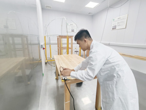 Thiết bị gia dụng được chứng nhận iec62368 IEC60335 sản phẩm điện để đảm bảo an toàn và chất lượng - Product Image 3