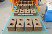 Machine de bloc de ligne de production complète de DF4-10 avec la machine hydraulique automatique thermique silencieuse de brique d'argile de chariot à bloc
