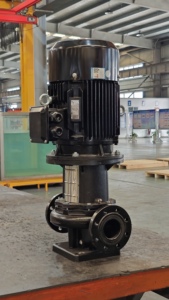Bomba de Agua Vertical LKS y Bomba de Presión para Suministro de Agua Industrial - Product Image 1