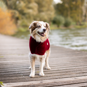 Soft Cotton Ready to Ship Dog Bathrobe Velour Outer Knitted Inner Custom Pet <b>Towel</b> Robe from Turkey - Product Image 5