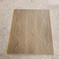 Panel Dinding 3D Anti Air, Anti Api, Ramah Lingkungan, Bahan PS PVC untuk Dekorasi Interior Apartemen, Harga Pabrik, Warna Arang