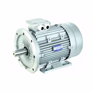 Kompresor 220V 230V 1.1 Kw Induksi Asinkron AC Aluminium Motor Tiga Fase Tertutup Total