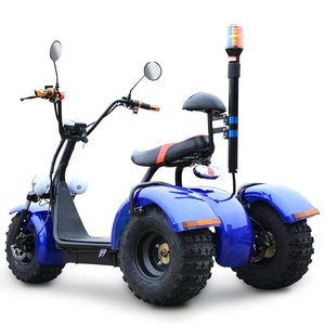 EU 1000W/1500W/2000W Self Balancing Aluminum Full Suspension Waterproof Three Wheel Scooter - Product Image 2
