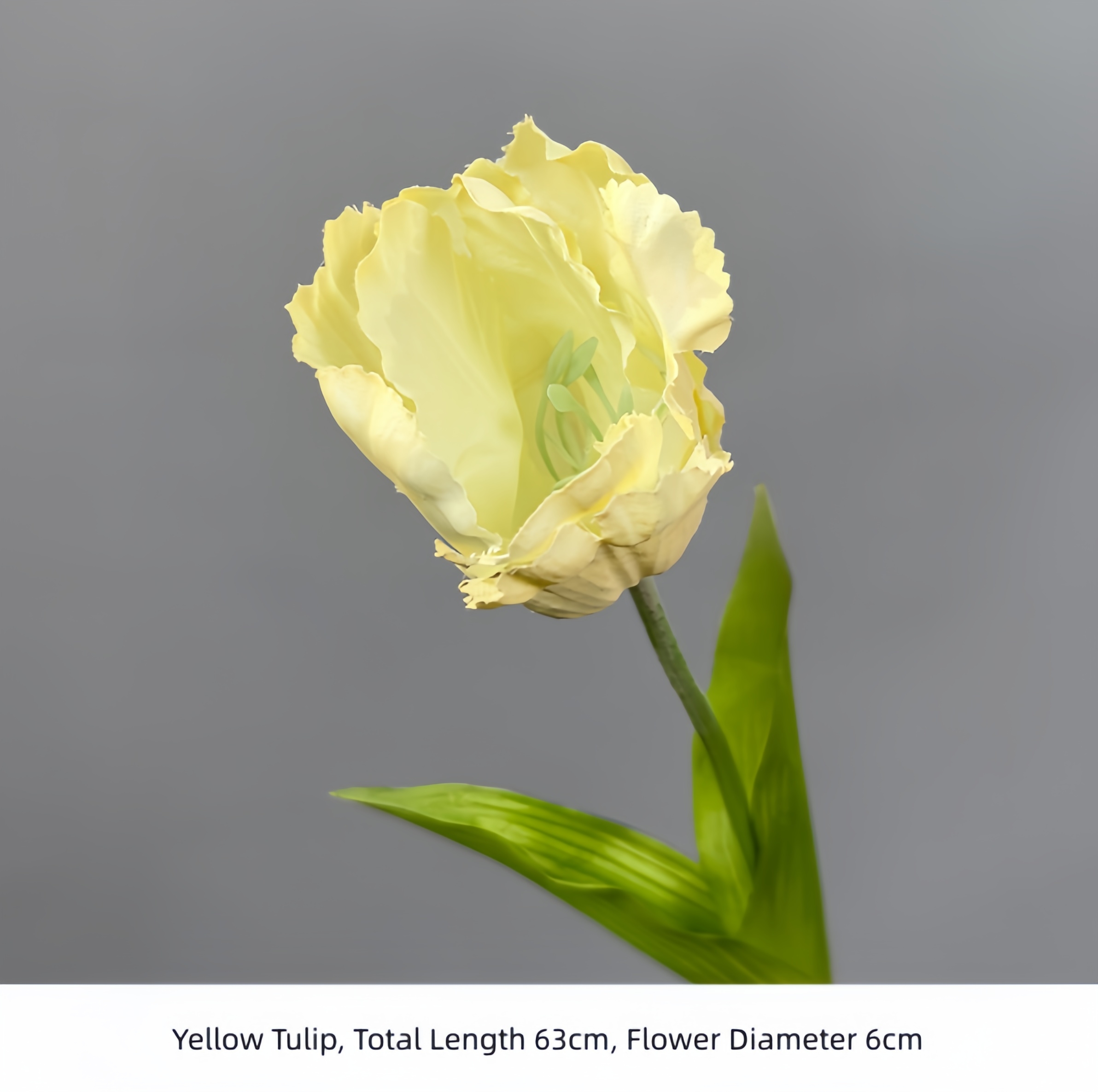 Yellow Tulip