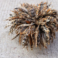 2-4 "| 4-6" | 6-8 "doğal horoz tüyleri horoz Pluma De Gallo Plumage De Poulet Strung Coque tavuk eyer tüyler satılık