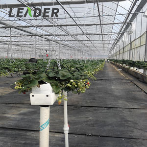 Peças de <span class=keywords><strong>greenhouse</strong></span> para agricultura comercial, barata, hidroponia, plantio, caixa de hdpe preto e branco, 1m de comprimento - Product Image 1