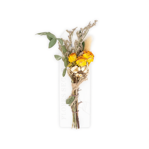 Bouquet de fleurs séchées ILAN, environ 15 cm, arrangement décoratif - Product Image 1