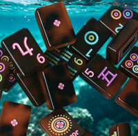 Jeu de Mahjong américain en acrylique gravé avec motif personnalisé, série Tortoise Happy, 160 pièces, pour divertissement adulte – Vente chaude