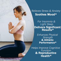 Bandes orales naturelles d'Ashwagandha pour le sommeil, le soulagement du stress, complément apaisant, dissolution rapide, bande orale apaisante à l'Ashwagandha
